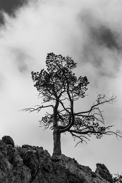 2019_08_06_Queyras (0006).jpg - Le col d'Izoard et la Casse Deserte